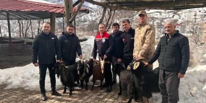 Şırnak’ta Kaya Düşmesi Sonrası Yaralar Sarılıyor: 20 Hayvan Telef Oldu, Destekler Hızla Ulaştırıldı