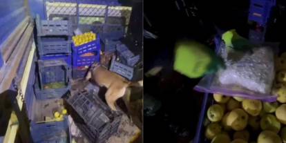 Şırnak'ta uyuşturucu operasyonunda 2 kişi tutuklandı