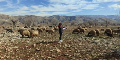 Şırnak’ta Mera Arazisinde Kritik İnceleme! Güçlükonak’ta 4342 Sayılı Kanun Kapsamında Tespit Yapıldı