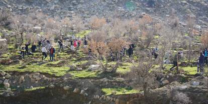 Cudi Dağı’nda 1000 Fidan Toprakla Buluştu! Şırnak’ta Yeşil Seferberlik Sürüyor