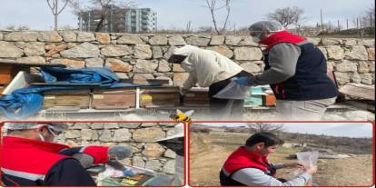 Şırnak’ta Hayvan Sağlığı İçin Yem Analiz Süreci Başladı