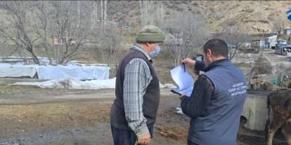 Uludere’de Buzağı Kayıplarını Azaltmaya Yönelik Saha Çalışması