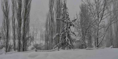 Beytüşşebap Ve Uludere İlçelerinde Kar Yağışı Etkili Oldu