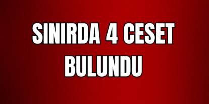 Şırnak'a komşu ilin sınırında donmuş halde 4 ceset bulundu