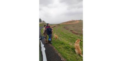 Cizre’de Mera Kanunu Kapsamında Denetim ve İnceleme Çalışması