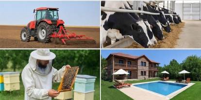 Şırnaklı Girişimcilere Büyük Fırsat: Kırsal Kalkınma İçin 241 Milyon Avroluk Hibe Desteği