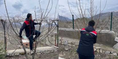 Uludere’de çiftçilere uygulamalı budama eğitimi