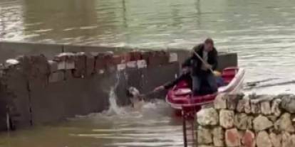 Su Taşkınında Evde Mahsur Kalan Köpek, Vatandaşların Bindiği Botla Kurtarıldı