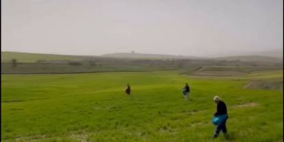 Siirt’te Çiftçilerden Zorlu Mesai: Gübreleme Eski Usulle Yapıldı