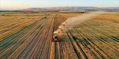 Şırnak’ta Tarımda Yeni Dönem! Dev Destek Kararı Resmî Gazete’de Yayımlandı