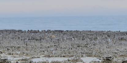 Van Gölü’nde kuraklık alarmı: Gün yüzüne çıktı
