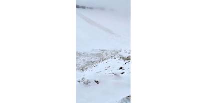 Şırnak’ta İlkbaharda Kar Yağışı Hayatı Felç Etti