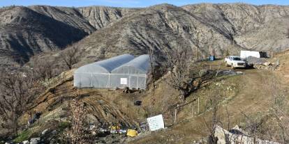 Şırnak Kırsalında Kurulan Seralar Tarımsal Üretimi Canlandırdı