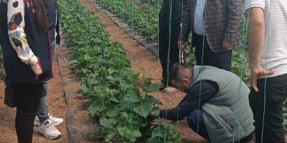 Silopi’de Sera Üretimine Yerinde İnceleme: Üreticiye Destek Ziyareti