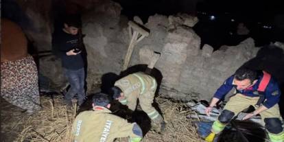 Cizre’de Ahır Çöktü: Hayvanlar Göçük Altında Kaldı