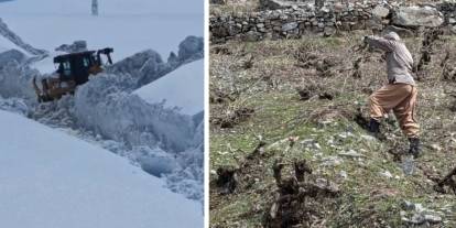 Şırnak'ta Bir Yandan Karla Mücadele Çalışması, Bir Yandan da Ağaç Budama Yapılıyor
