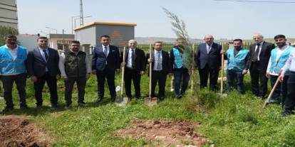 Cizre’de “Geleceğe Nefes” için fidanlar toprakla buluştu