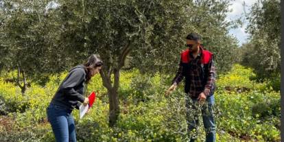 Uzmanlardan Şırnak'taki Üreticilere Önemli Uyarı! Bu Hastalığa Dikkat