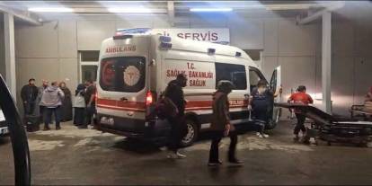 Arazi anlaşmazlığı nedeniyle iki kardeşini öldürdü