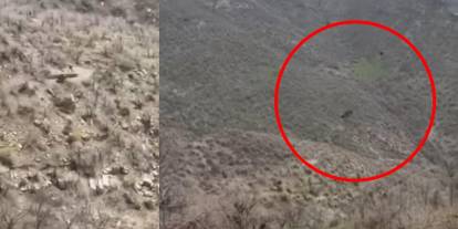 Şırnak’ta kartalın domuz avı anı kameraya böyle yansıdı