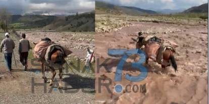 Yağışlar Yolları Vurdu! Bestler Dereler’e Ulaşım Katırlarla Sağlanıyor