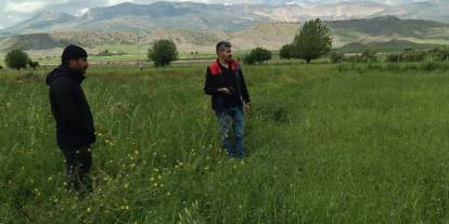 Şırnak’ta Yem Bitkileri Ekili Alanlarda Denetim Çalışması