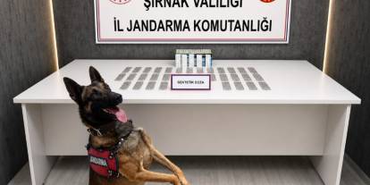 Şırnak’ta 1 haftada kaçakçılık ve narkotik operasyonlarında 145 gözaltı