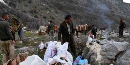 Şırnak'ta Vatandaşlar Pancar Toplamak İçin Dağ Bayır Demeden Geziyorlar