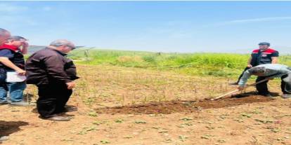 Şırnak'ta üretilmeye başlandı: Kilosu binlerce lira
