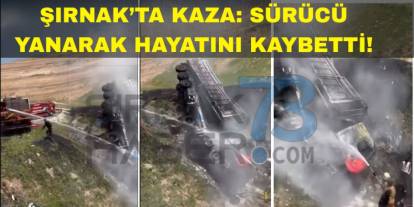 Şırnak'ta Feci Tır Kazası: Sürücü Hayatını Kaybetti