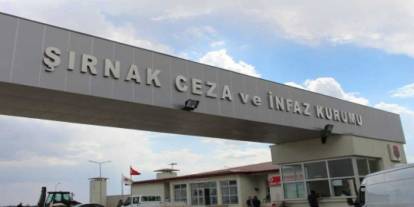 Şırnak'ta kargo aracıyla kaçakçılık yapan 2 kişi  tutuklandı
