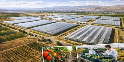 Silopi’de Dev Tarım Hamlesi: Sera Organize Tarım Bölgesi Projesi Tanıtılıyor