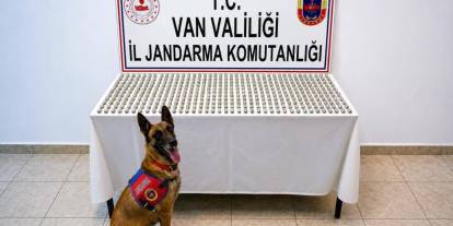 Van’da İranlı şahısların midesinde 3 kilo uyuşturucu ele geçirildi