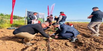 Silopi’de “Şehri Nuh Yazlık Sebzecilikte Üretiyor” Projesi Kapsamında Fide Dikimi Yapıldı