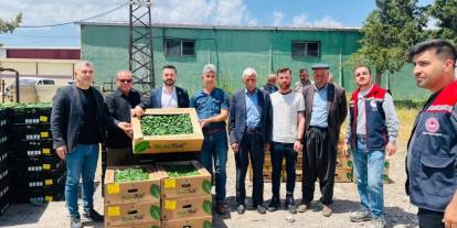 Silopi’de Yazlık Sebzecilik Hamlesi: Çiftçilere %75 Hibeli Fide Desteği
