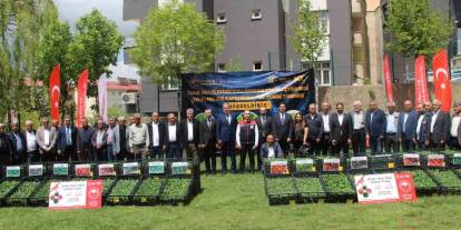 Şırnak’ta 252 Üreticiye Sebze Fidesi Dağıtıldı