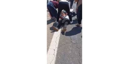 Kurbanlık Yüklü Kamyonet Devrildi: 1 Ölü, 1 Yaralı