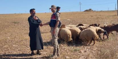 Kaybolan Küçükbaş Hayvanları Jandarma Buldu