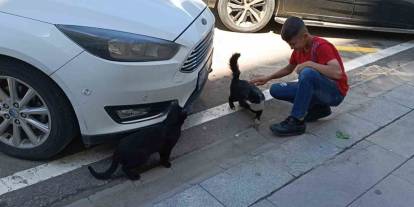 Batman’da Vefakar Kedi Arkadaşını Yalnız Bırakmadı