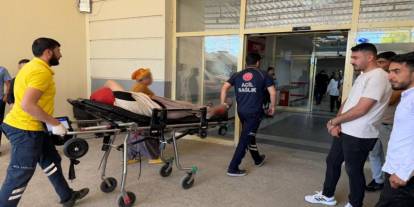 Yılanı vurmak isteyen şahıs 5 kişiyi yaraladı