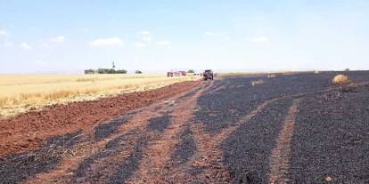 Mardin'de 150 dekar buğday ekili alan küle döndü