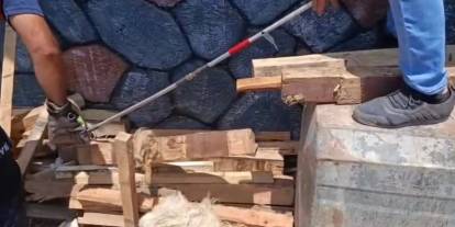 Şırnak’ta Egzotik Hayvan İddiası Paniğe Neden Oldu