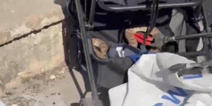 Ağaçtan bebek arabasına yılan düştü