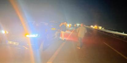 Otomobilin çarptığı sürüdeki 12 hayvan telef oldu