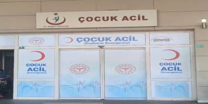 Hastanede yeni doğan bebeği kaçırmaya çalıştı!