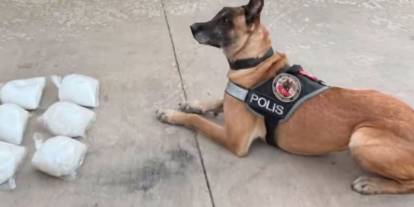 Şırnak Uyuşturucu Geçiş Noktası Oldu! Polis Ekipleri Tır'da 5 Kilo Uyuşturucu Yakaladı