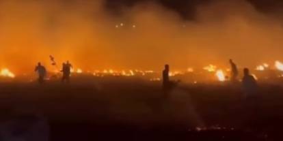 Cizre'de Korkutan Yangın: Rüzgar Alevleri Kısa Sürede Büyüttü