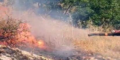 Diyarbakır’da Örtü Ve Orman Yangını