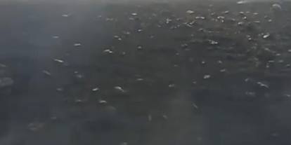 Batman’da 150 dönüm alan çıkan yangında küle döndü