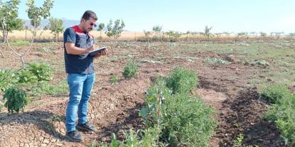 Şırnak'ta Bitki Su İhtiyaç Belgesi için arazi tespit çalışması yapıldı